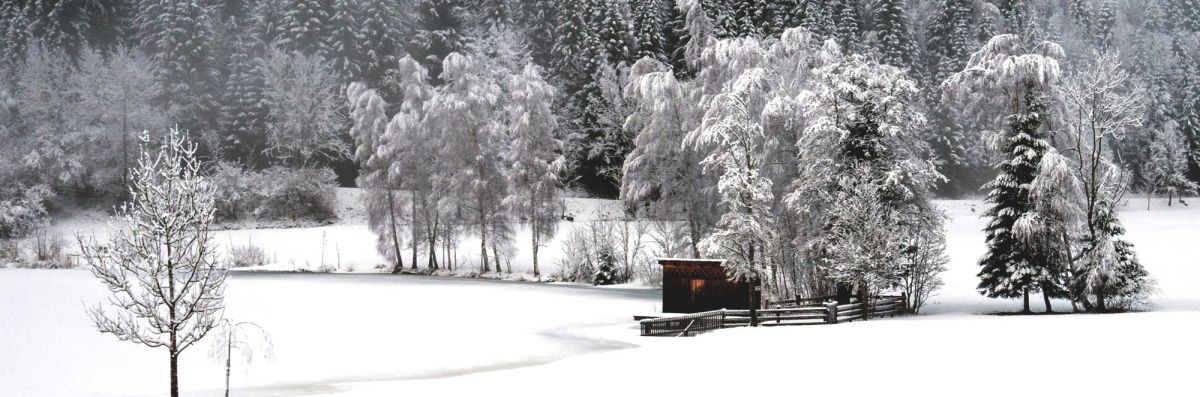 Winterurlaub inmitten herrlicher Natur in Goldegg