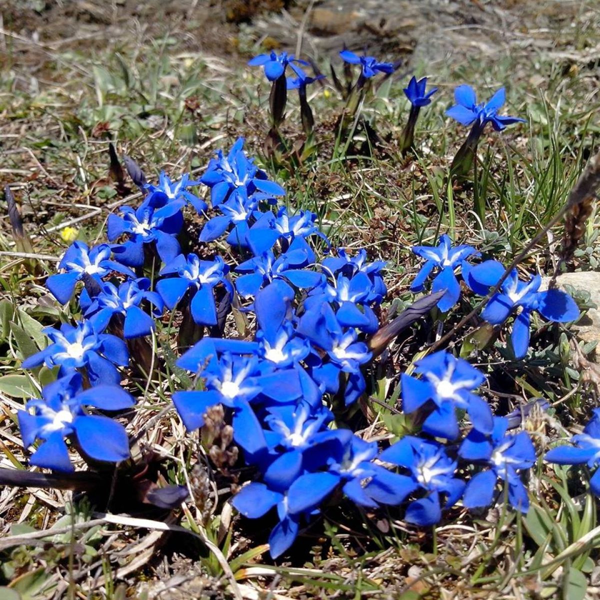 Kurzurlaub